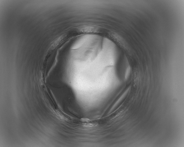 X0000054450453200508121915