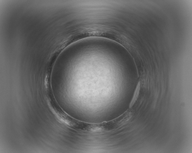 X0000054450456200508121915