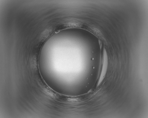 X0000054450457200508121915