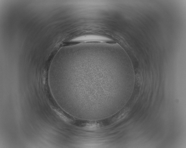 X0000054450458200508121915