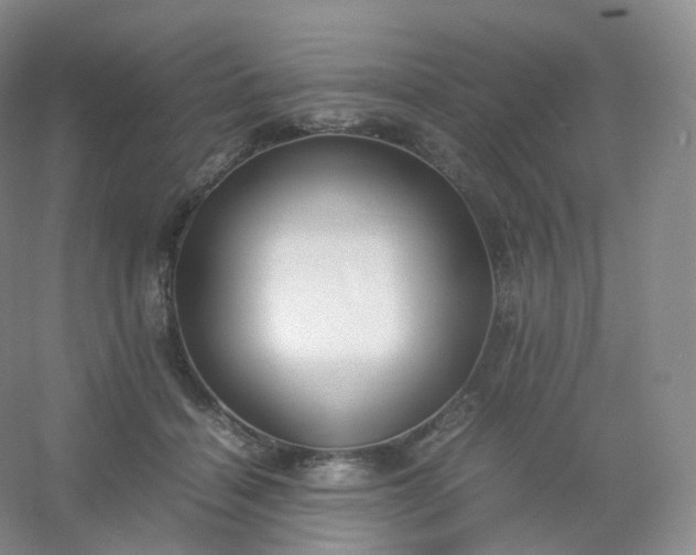 X0000054450460200508121915