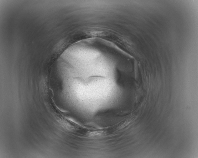X0000054450461200508121915