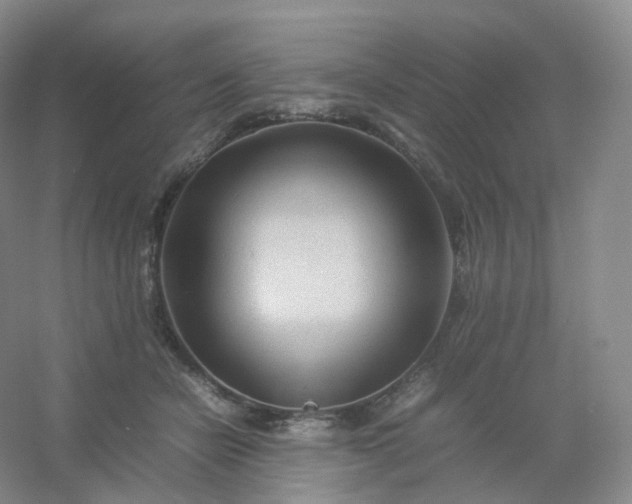 X0000054450462200508121915