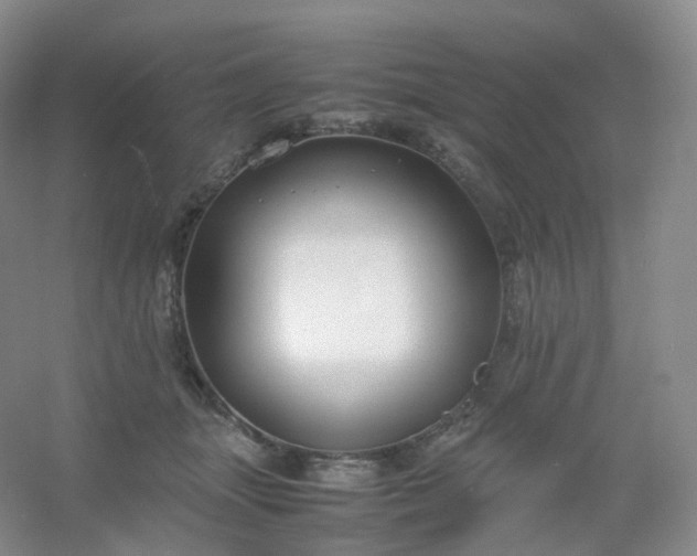 X0000054450463200508121915