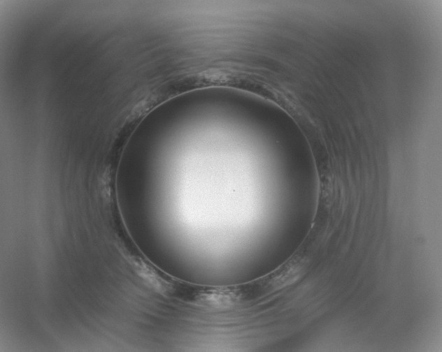 X0000054450466200508121915