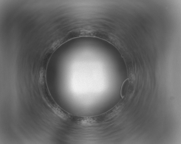 X0000054450468200508121915