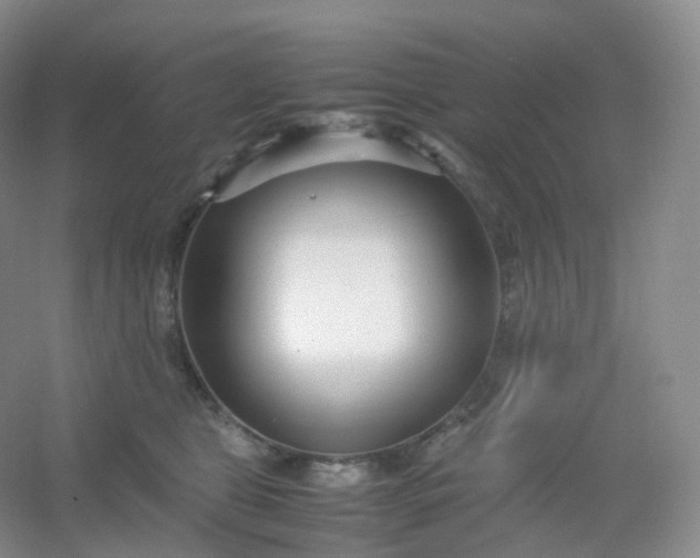 X0000054450469200508121915