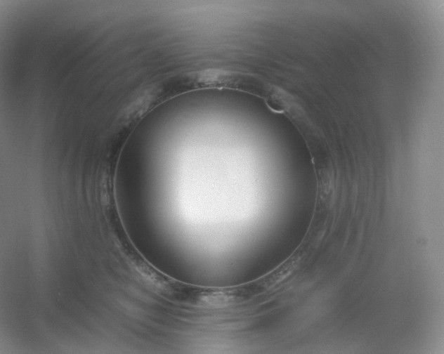 X0000054450470200508121915