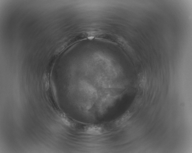 X0000054450471200508121915