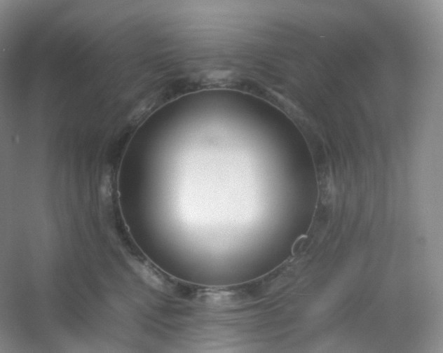 X0000054450472200508121915