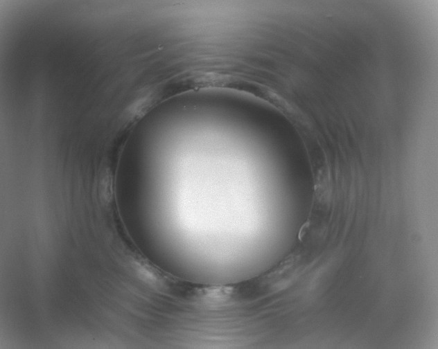 X0000054450474200508121915