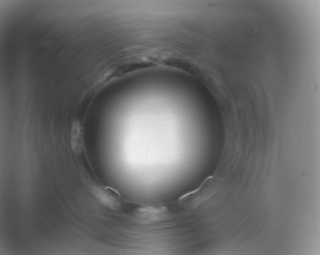 X0000054450480200508121916
