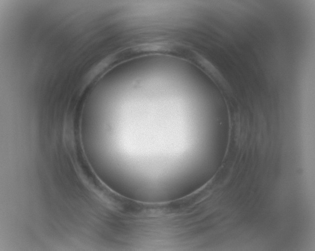 X0000054450482200508121915