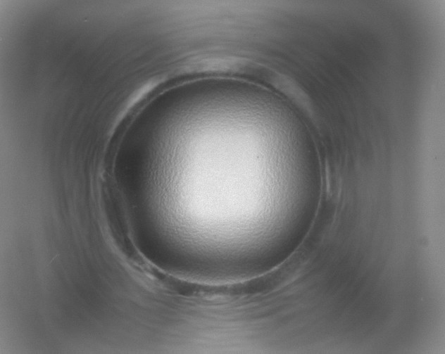 X0000054450483200508121915