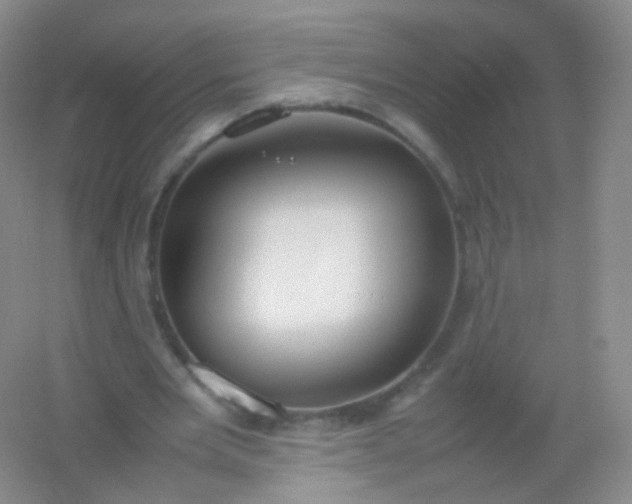 X0000054450485200508121915