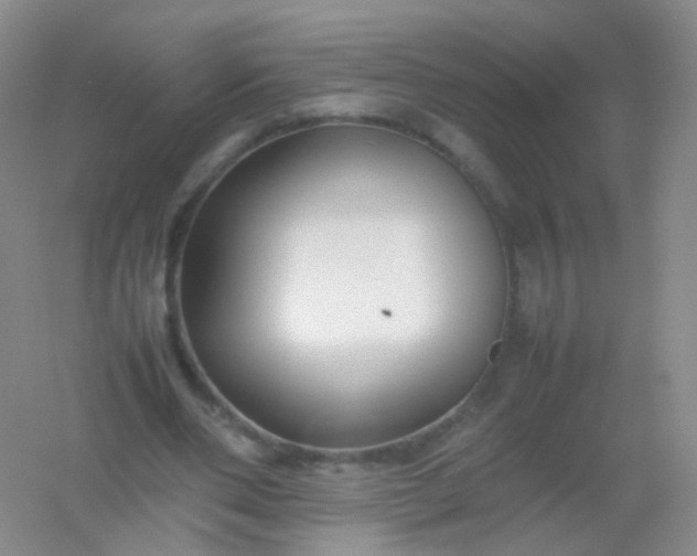 X0000054450486200508121915