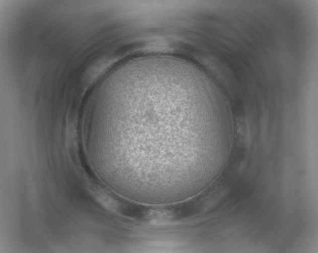 X0000054450487200508121915