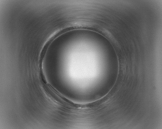 X0000054450488200508121915