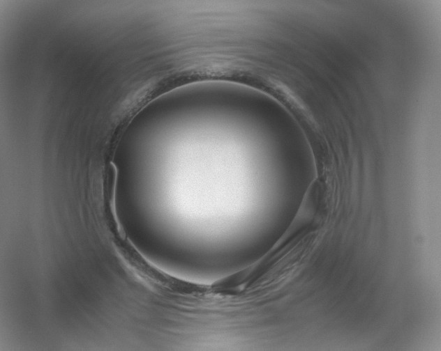 X0000054450493200508121915