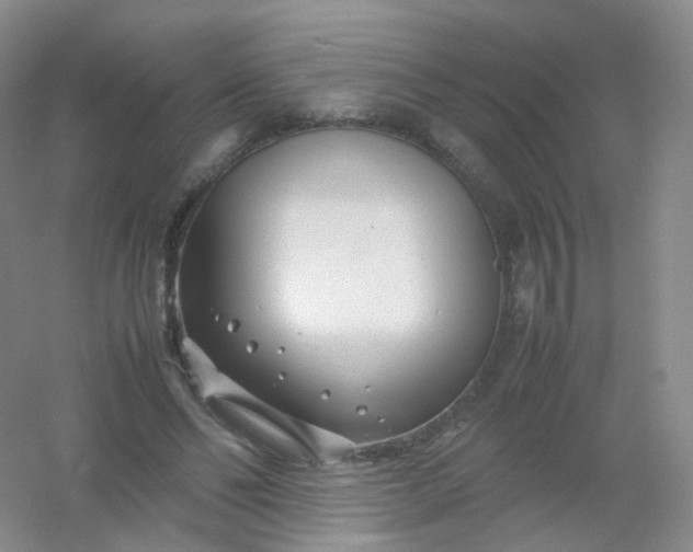 X0000054450494200508121915