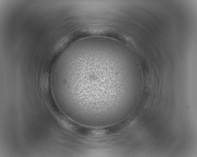 X0000054450495200508121915