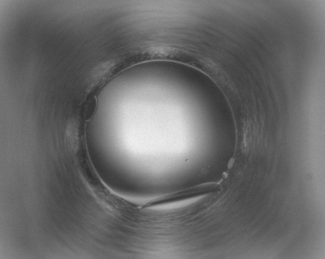 X0000054450496200508121915