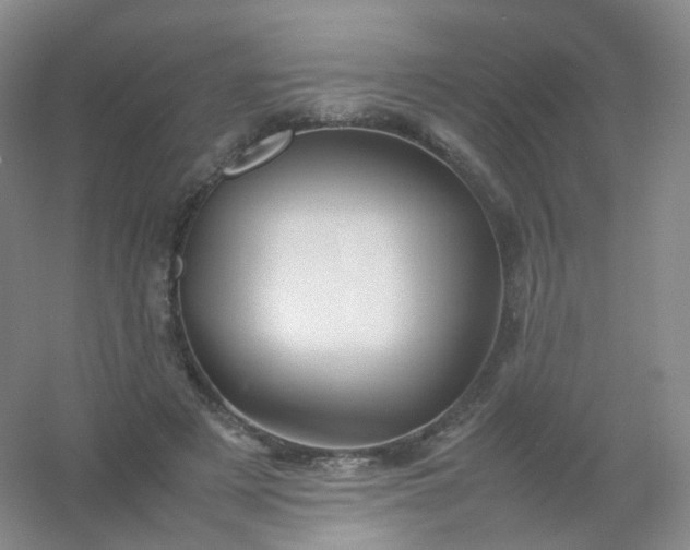 X0000054450497200508121914