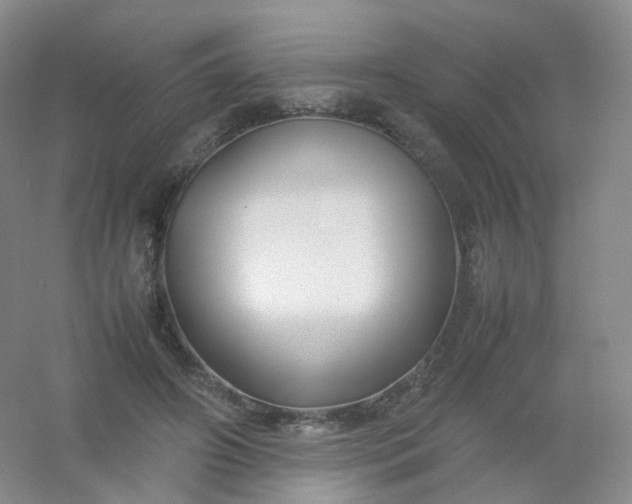 X0000054450498200508121914