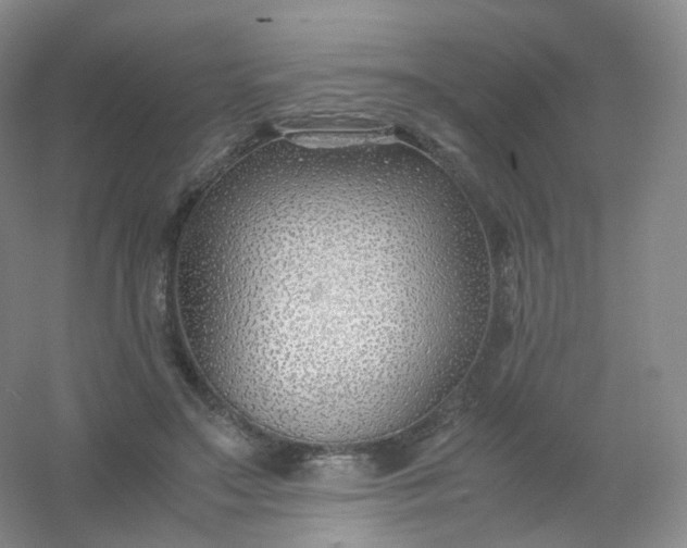 X0000054450499200508121914