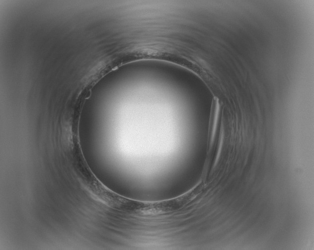 X0000054450500200508121914