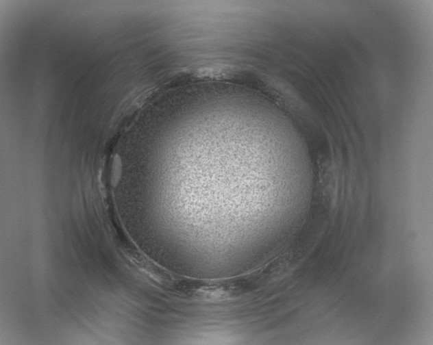 X0000054450502200508121914