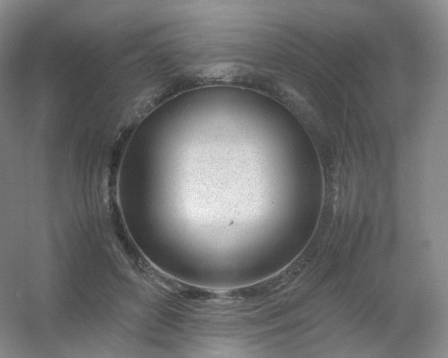 X0000054450504200508121914