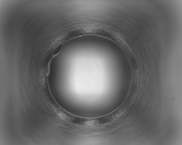 X0000054450505200508121914
