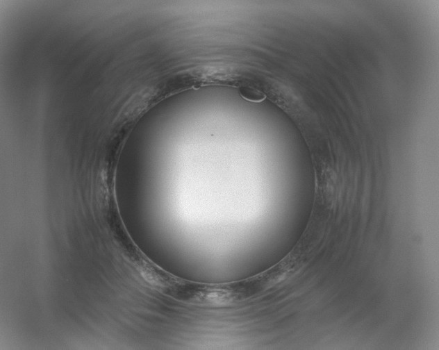 X0000054450506200508121914