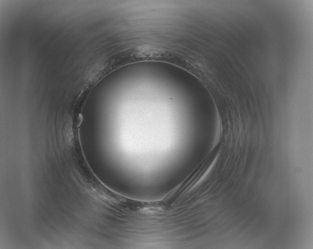 X0000054450508200508121914