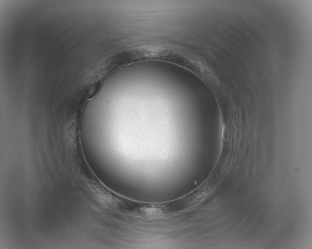X0000054450509200508121914