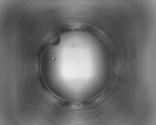 X0000054450510200508121914
