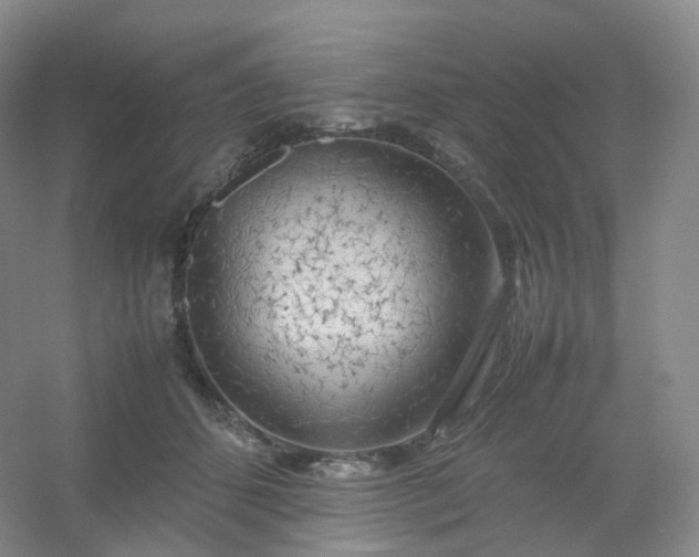 X0000054450512200508121914
