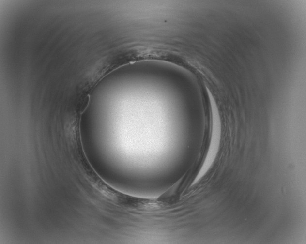 X0000054450513200508121914