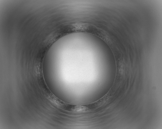 X0000054450514200508121914