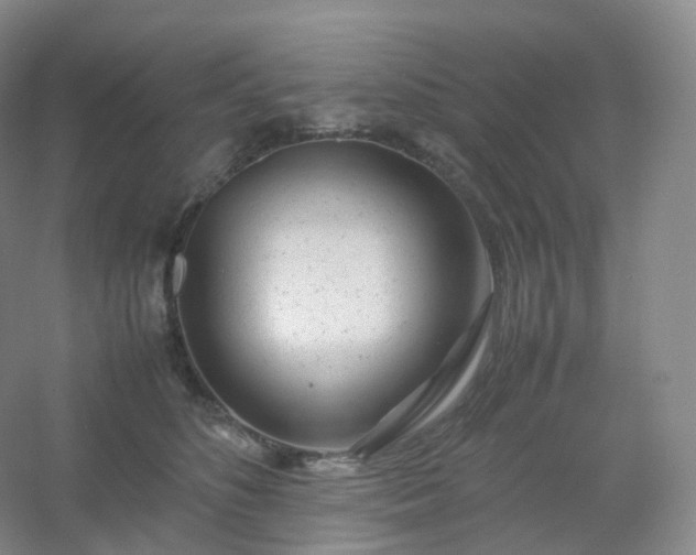 X0000054450516200508121914