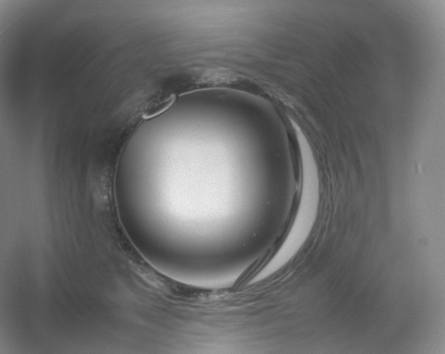 X0000054450517200508121914