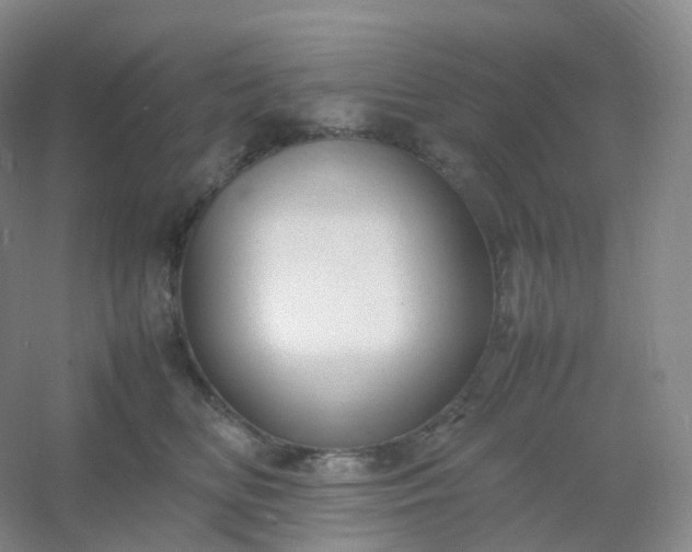 X0000054450518200508121914