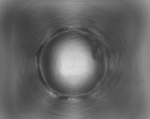 X0000054450520200508121914