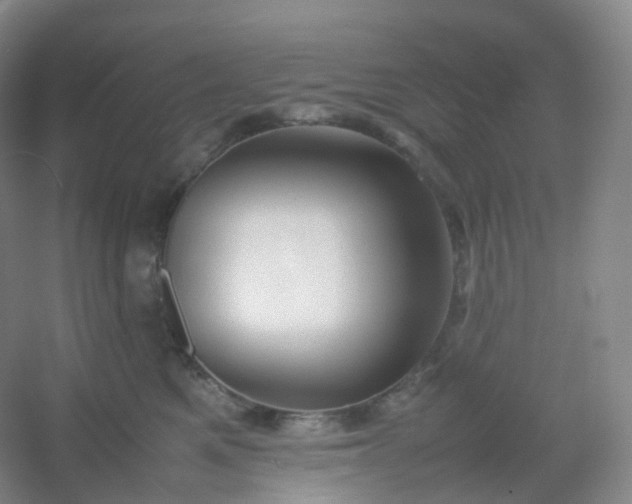 X0000054450521200508121914