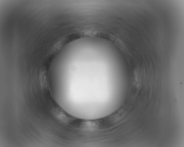 X0000054450522200508121914
