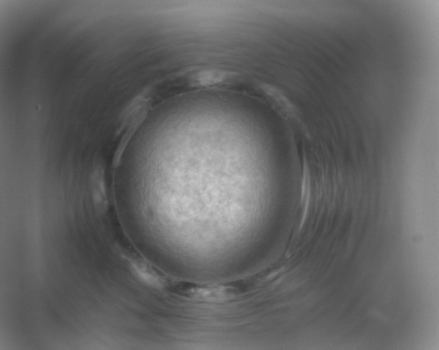 X0000054450524200508121914