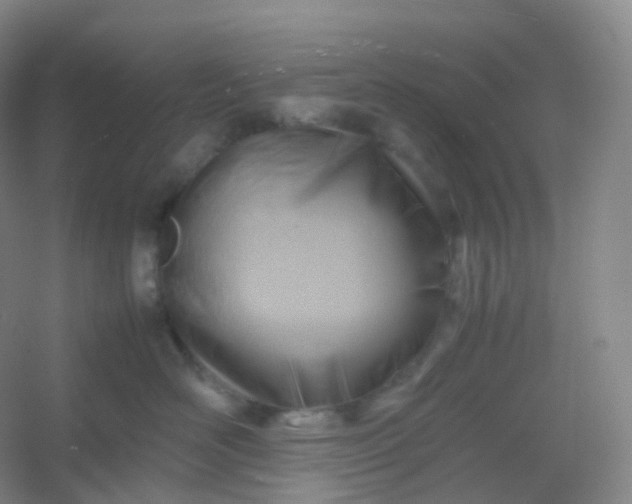 X0000054450526200508121914