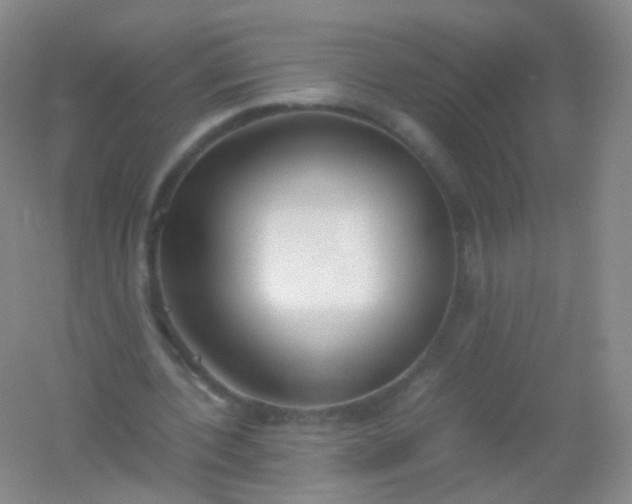X0000054450532200508121913
