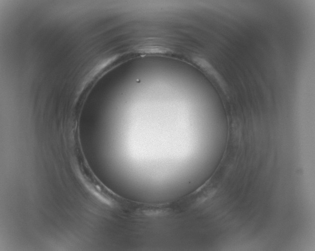 X0000054450533200508121913